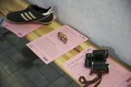 glashausuckermark.de