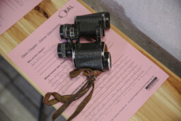 glashausuckermark.de